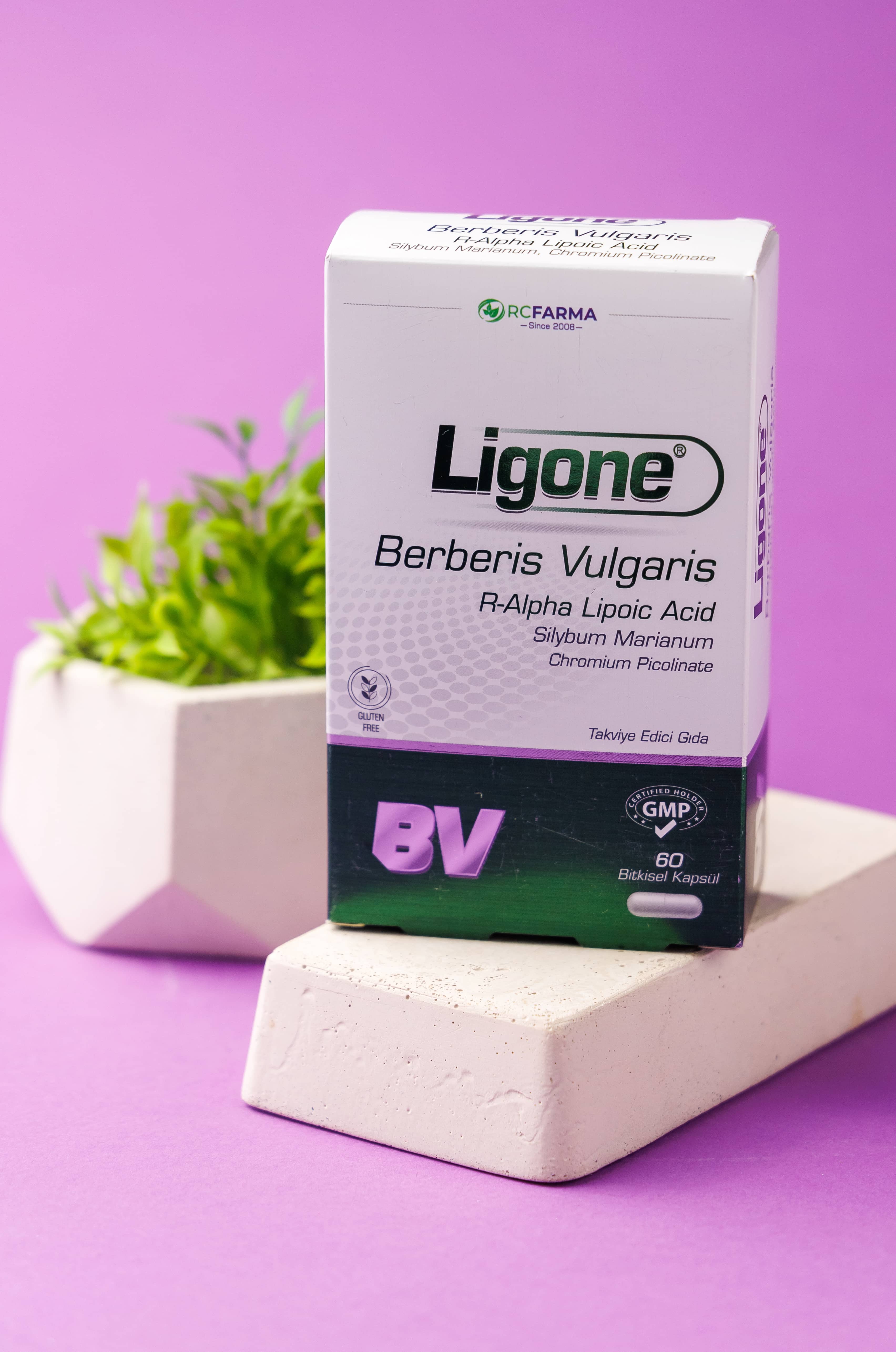 RCFARMA Berberis, Vulgaris, Alpha Lipoic Acid, 60 kapsul 4
